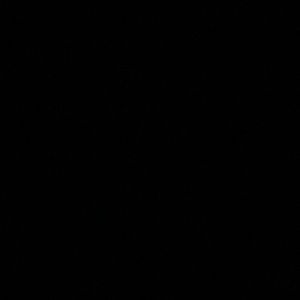 Meet your Posher, Gary